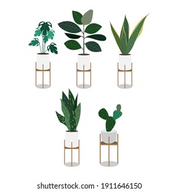 Set plants indoor isolated on white background , Tree Houseplant for Home and Office. Vector illustration EPS 10