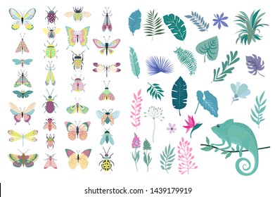 Set of plants and insects - beetles, butterflies, moths. Editable vector illustration
