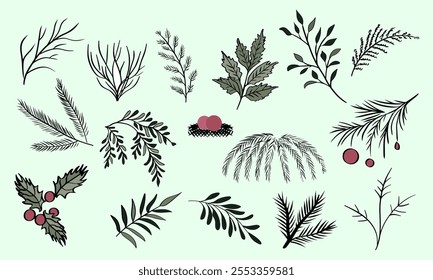 Set of Plants Isolated on White Background