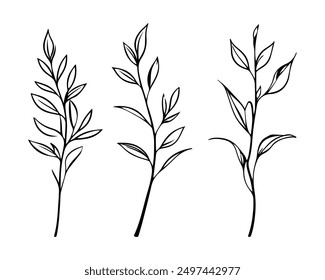 Set of Plants with Leaves Line Art Drawing. Simple Vector Botanical Illustration. Trendy Greenery Outline Hand Drawn Sketches Collection. Floral Design for Social Media, Vegan and Cosmetic Logo, Tatto