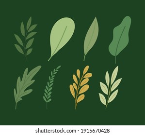 conjunto de plantas con hasta muchas hojas diseño de ilustración vectorial