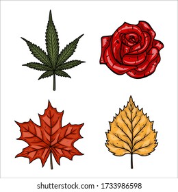 Conjunto de plantas - hoja de marihuana, arce rosa y hojas de abedul