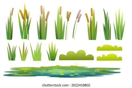 Set of plants and a objects. Grass, shrubs, reeds and cattails. Small swamp, pond, lake or puddle. Isolated on white background. Miltic design flat style. Illustration vector