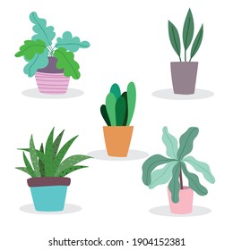 多肉植物 のイラスト素材 画像 ベクター画像 Shutterstock