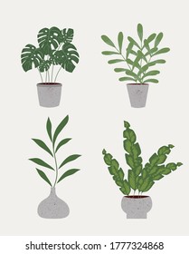 Set of Plants on a pots. Vector illustration