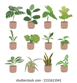 set of plants on white backgound, vector