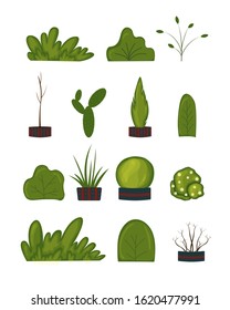Set of plants on a white background for construction and design. Cartoon style. Vector illustration