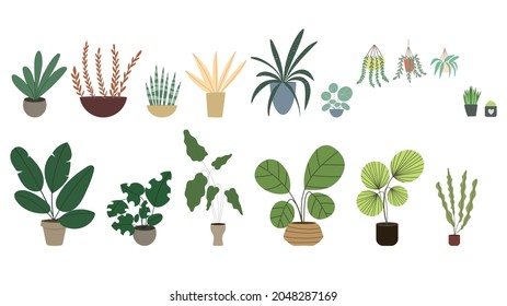 Set Plants planted in indoor pots to decorate the house vector , isolated on white background ,  Flat cartoon flat style. illustration Vector EPS 10