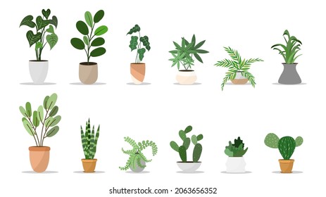 Set Plants planted in indoor pots to decorate the house vector , isolated on white background ,  Flat cartoon flat style. illustration Vector EPS 10