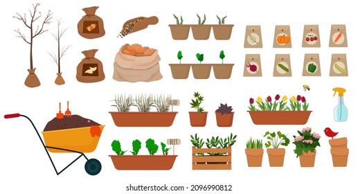 Un conjunto de plantas para plantar, semillas, plántulas, macetas de flores, tubérculos. Agricultura, floricultura. Vector aisló imágenes planas sobre un fondo blanco.