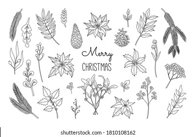 Weihnachtsfest, Neujahrspflanzen, Poinsettia, Kiefer, Beerenlaurel in schwarzer Linie. Handgezeichnete Blumensammlung. Vektorgrafik im skandinavischen Doodle-Stil einzeln auf weißem Hintergrund.