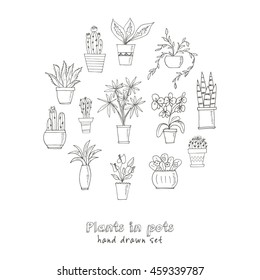 Set of plants in a pot Hand drawn doodle vector sketch illustration