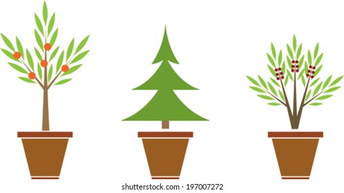 Set of plants in pots
