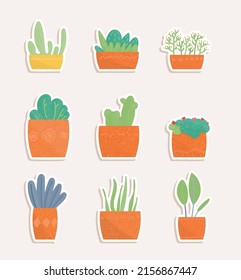 conjunto de plantas en macetas