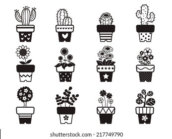 Set of plants in pots