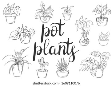 Set of plants in pots. Black stroke