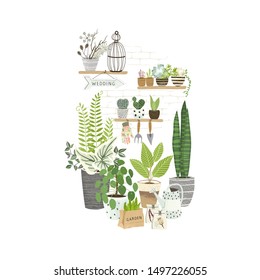 Set of plants in pots, cacti and succulents on shelf, gardening tools. Cultivating home garden, showcase garden or flowers shop, greenhouse. Flat cartoon vector illustration.