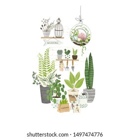 Set of plants in pots, cacti and succulents on shelf, terrarium plant, gardening tools. Cultivating home garden, showcase garden or flowers shop, greenhouse. Flat cartoon vector illustration.