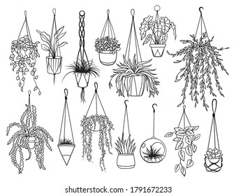 Set of plants in pots. Collection of growing flowers in a hanging plant for interior home or office decoration. Set of succulent plants and home plants. Vector illustration of garden flowers.