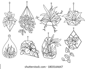 Set of plants in pots. Collection of growing flowers in a hanging plant for interior home. Set of succulent plants. Vector illustration of garden home flowers. 