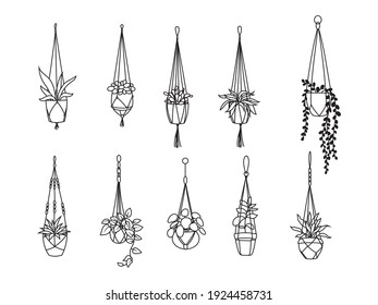 Set Of Plants In Pots. Collection Of Growing Flowers In A Hanging Plant For Interior Home Or Office Decoration. Set Of Succulent Plants And Home Plants. Vector Illustration Of Garden Flowers.