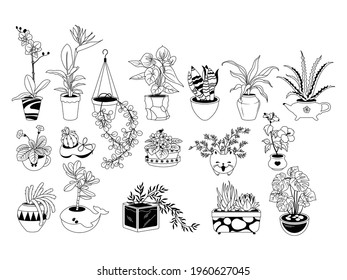 Set of plants in pots. Collection of growing succulent plants and home plants for interior home. Decoration flower. Hanging plant. Vector illustration of garden flowers.