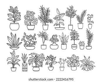 Set of plants in pots. Collection of growing succulent plants and home plants for interior home. Decoration flower. Vector illustration of garden flowers.