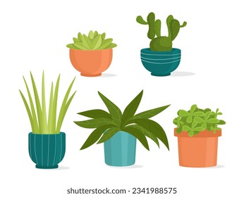 Set of plants in pots. Comfort and coziness in home. Elements of decor and interior. Botany and floristry, agriculture. Cartoon flat vector collection isolated on white background