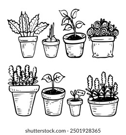 Set of plants in pots hand drawn in doodle style. Flowers with buds and seedlings with leaves planted in containers. Garden decor. Vector line art illustration.