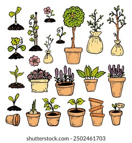 Set plants in pots hand drawn flat. Flowers with buds and seedlings with leaves planted in containers. Garden decor. Vector line art illustration.