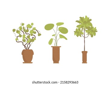 A set of plants in pots for the home. Isolated. Flat style. Vector illustration