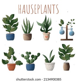 Set of plants in pots. Set of houseplants. Houseplant in a pot. Houseplant, home garden, gardening, plant lover, houseplant store concept, greenhouse	