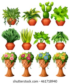 Set of plants in pots illustration