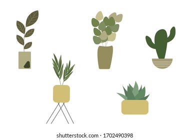 Set of plants in pots. Indoor and outdoor potted plants isolated on white