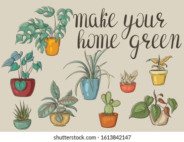 set of plants in pots. Make your home green