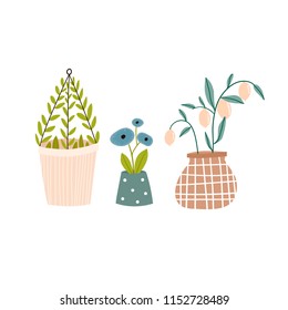 Set of plants in pots print. Vector illustration