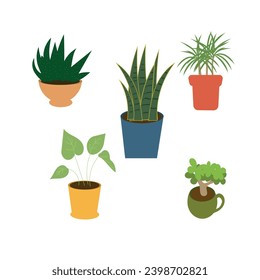 Set of plants in pots, vector illustration, flat style