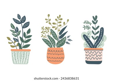 Set of plants in pots. Vector illustration in modern flat style.