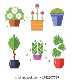Set of plants and potted flowers for decor of the apartment and garden on an isolated white background. Icon in flat design. Vector stock illustration.