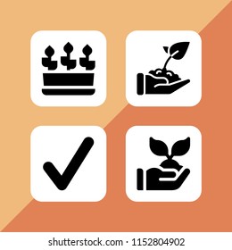  set with plants, right and growth vector icons for web and mobile app