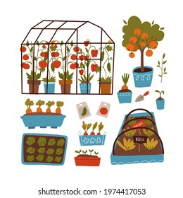 Set of plants and scenes - Greenhouse, beds, pots and shelves with plants, seeds and sprouts. Gardening concept. Vector flat illustration