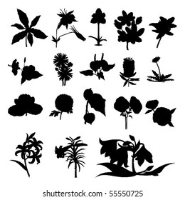 Set of plants silhouette