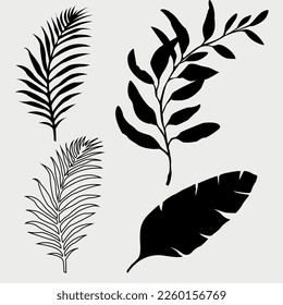 set of plants, silhouette of plants, leaves of plants, vector of plants
