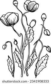 Conjunto de siluetas de plantas. Imágenes de camomilos, flores de cosmos, lavanda, amapolas, daffodils, tulipanes, iris, hierbas de prado. Imágenes detalladas aisladas de negro sobre fondo blanco. Elementos de diseño de vectores