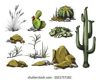 A set of plants succulent, stones and cactus with flowers. Collection of elements desert nature. Color vector illustrations isolated on white.