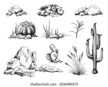 A set of plants succulent, stones and cactus with flowers. Collection of elements desert nature. Ink sketch vector illustrations isolated on white.