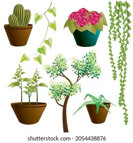 Set of plants. Tree. Cactus. Aloe vera. Flowers