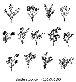 Set of plants. Vector cartoon doodles. Isolated objects on a white background. Hand-drawn style.