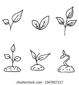 Set of plants. Vector cartoon illustrations. Isolated objects on a white background. Hand-drawn sprouts.