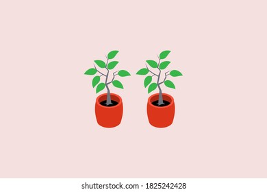 conjunto de ilustraciones de diseño vectorial de plantas